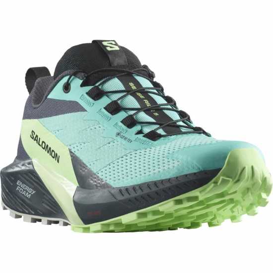 Salomon Sense Ride 5 GoreTex Women's Trail Running Shoes Синьо/Зелено Дамски туристически обувки