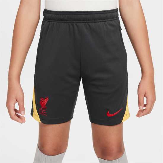 Nike Liverpool Strike Third Shorts 2024 2025 Juniors  