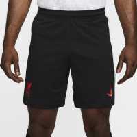 Nike Liverpool Third Shorts 2024 2025 Adults  