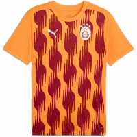 Puma Galatasaray Prematch Shirt 2024 2025 Adults  