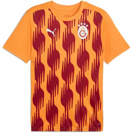 Puma Galatasaray Prematch Shirt 2024 2025 Adults  