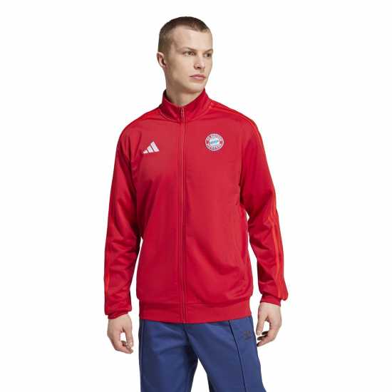 Adidas Спортно Горнище Fc Bayern Munich Dna Track Top 2024 2025 Adults  Футболни тренировъчни якета