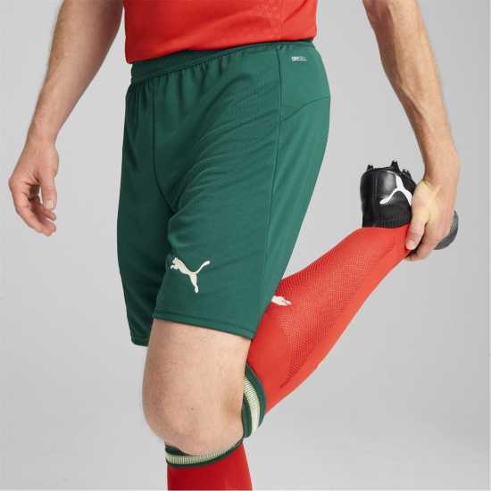 Puma Portugal Home Shorts 2025 Adults  Дрехи за мъже от Puma