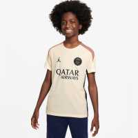 Nike Paris Saint-Germain Strike Third Top 2024 2025 Juniors  