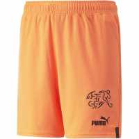 Puma Switzerland Shorts Replica Juniors 2022 Neon Citrus Детски къси панталони