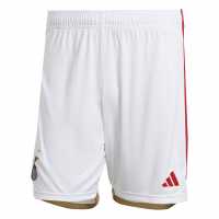 Adidas Benfica Home Shorts 2023 2024 Adults