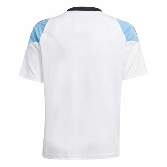 Adidas Messi Argentina Training Kit 2024 Juniors  