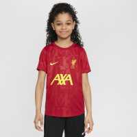 Nike Liverpool Academy Pro Pre Match Shirt 2024 2025 Juniors  Детски тениски и фланелки