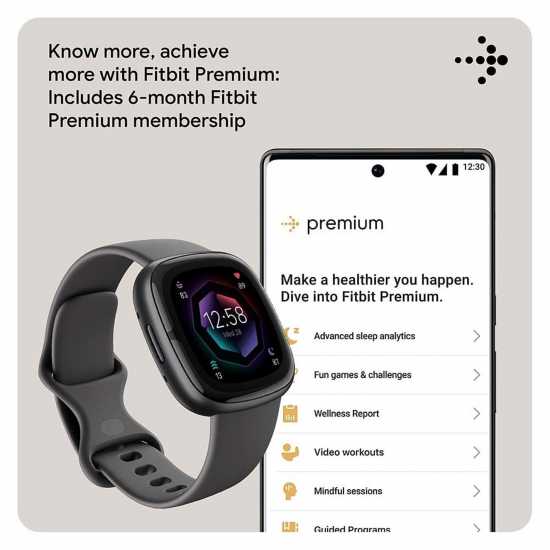 Fitbit Fitbit Sense 2 Smartwatch Shadow Grey & Graphite  Часовници