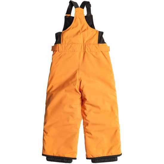 Quiksilver Boogie Pnt In44  Шейни