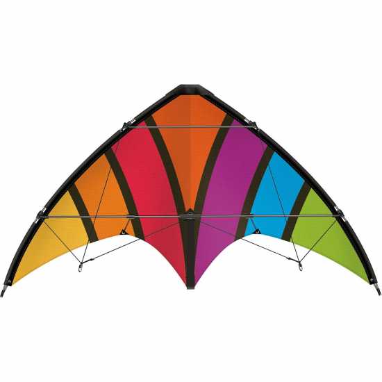 Wind Designs Gunther Top Loop Kite  Градина