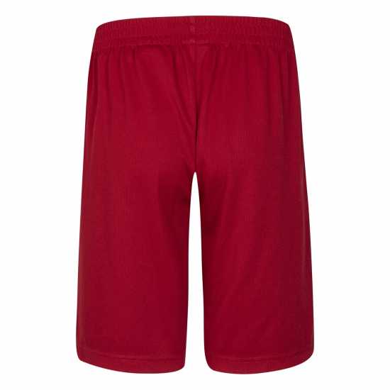 Air Jordan Mesh Short Junior Boys Тренировъчен червен Детски къси панталони