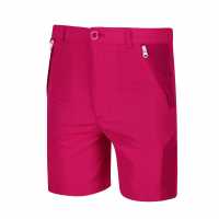 Regatta Sorcer Mountain Walking Shorts Short Unisex Kids Дюшес/ДкЦер 