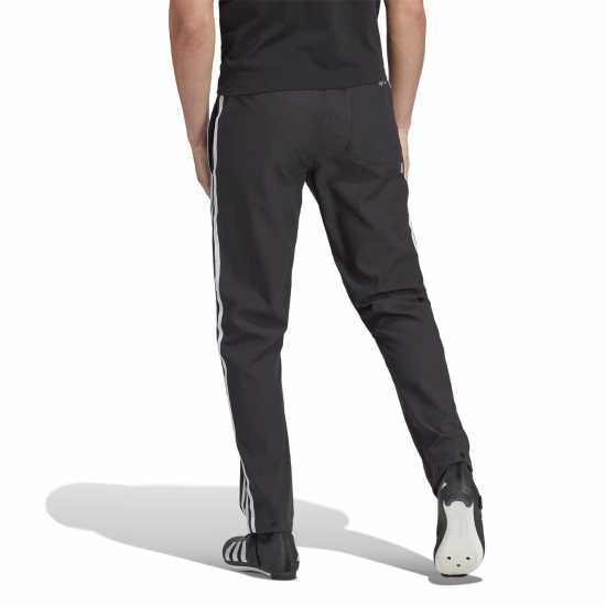 Adidas Ts Pant M Sn99  