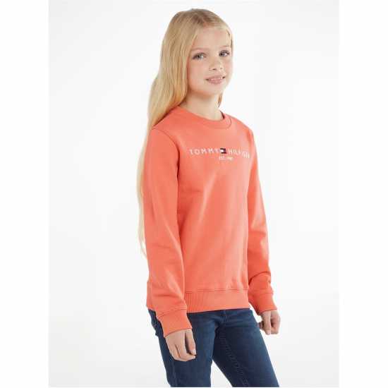 Tommy Hilfiger Essential Crew Sweatshirt