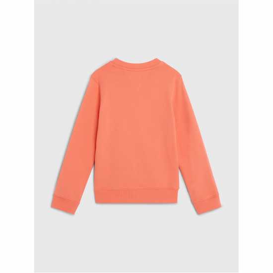 Tommy Hilfiger Essential Crew Sweatshirt