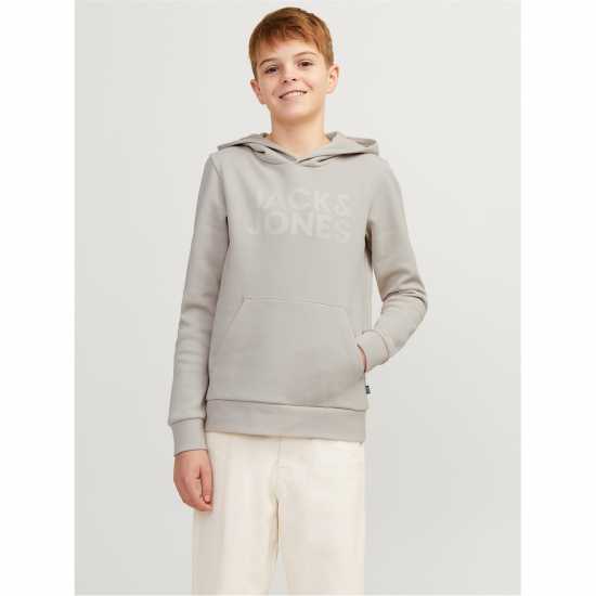 Jack And Jones Corp Logo Hoodie Junior Boys Лунна лъчина Детски суитчъри и блузи с качулки