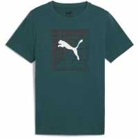 Puma Graphics Tee 1 B T-Shirt Unisex Kids Зелено 