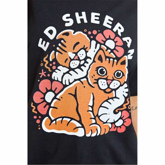 Daisy Street Daisy Ed Sheeran Tee Ld32  Daisy Street