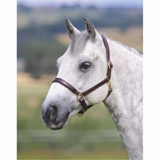 Shires Velocito Gara Ragley Lined Headcollar  Оглавници и поводи за водене