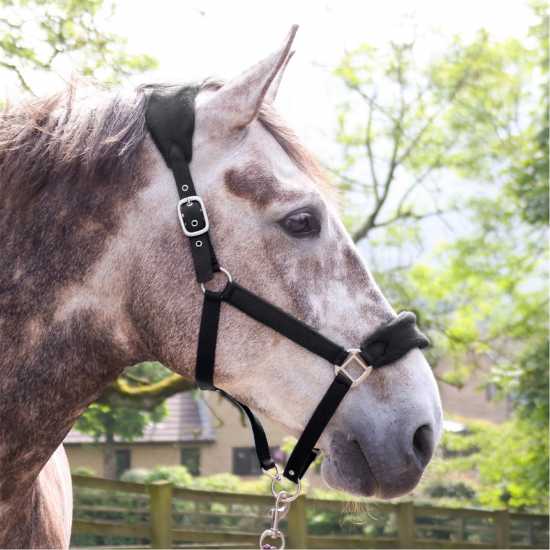 John Whitaker Whitaker Club Headcollar And Lead Rope Set Черно Оглавници и поводи за водене