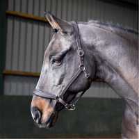 John Whitaker Whitaker Ready To Ride Leather Headcollar  Оглавници и поводи за водене