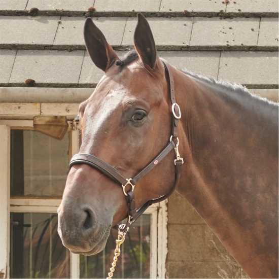 John Whitaker Whitaker Ready To Ride Leather Headcollar  Оглавници и поводи за водене