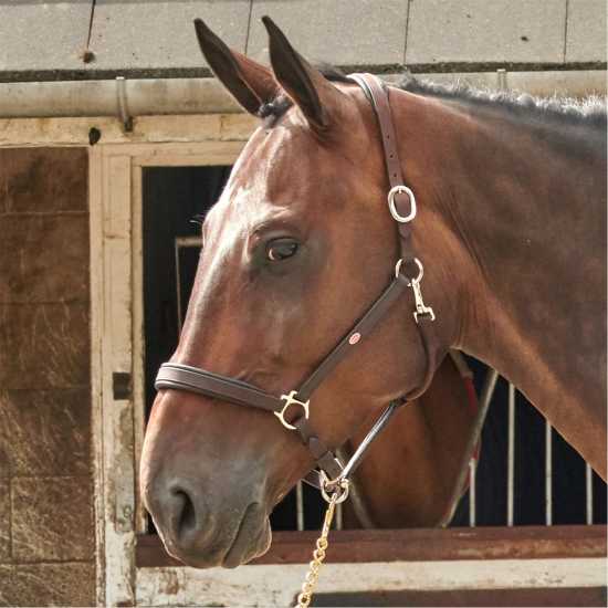 John Whitaker Whitaker Ready To Ride Leather Headcollar  Оглавници и поводи за водене