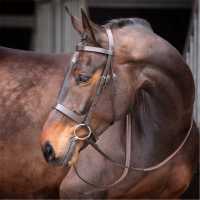 Shires Velociti Gara Plain Bridle  Юздечки и аксесоари