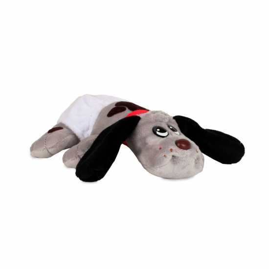 Wind Designs Pound Puppies Newborns W5 Eco Surprise Reveal Asst  