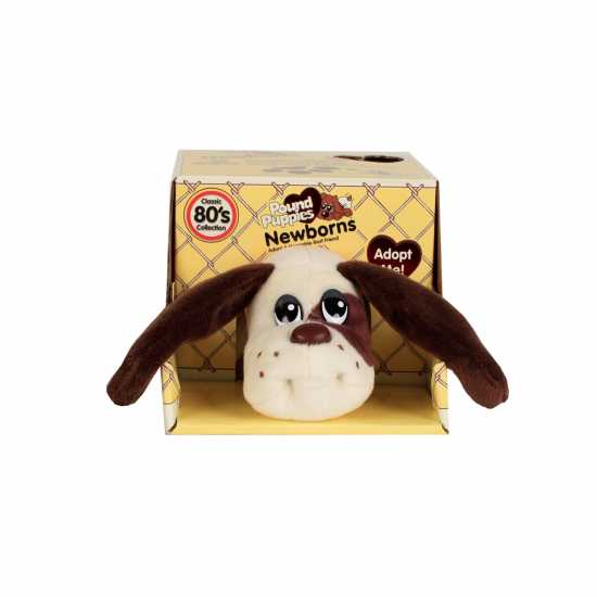 Wind Designs Pound Puppies Newborns W5 Eco Surprise Reveal Asst  