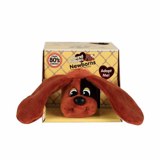 Wind Designs Pound Puppies Newborns W5 Eco Surprise Reveal Asst  