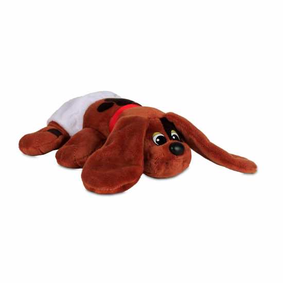 Wind Designs Pound Puppies Newborns W5 Eco Surprise Reveal Asst  