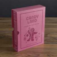 Hasbro Candy Land Vintage Bookshelf Edition  