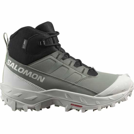 Salomon Crosstrak Wp W Agv Gr/black/canarg  