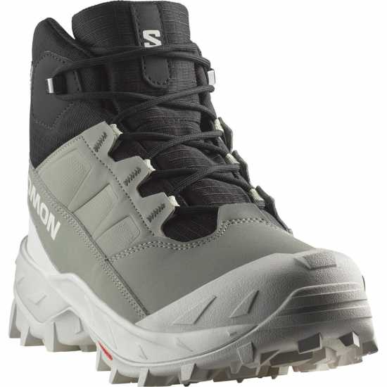 Salomon Crosstrak Wp W Agv Gr/black/canarg  