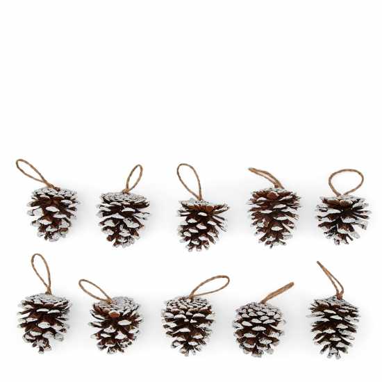 The Spirit Of Christmas Set Of 10 Frosted Pine Cone Tree Decorations  