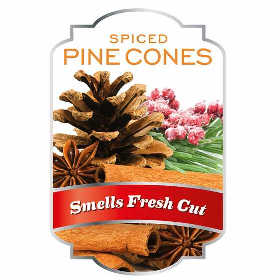 The Spirit Of Christmas Set Of 6 Spiced Pinecones Scentsicles  